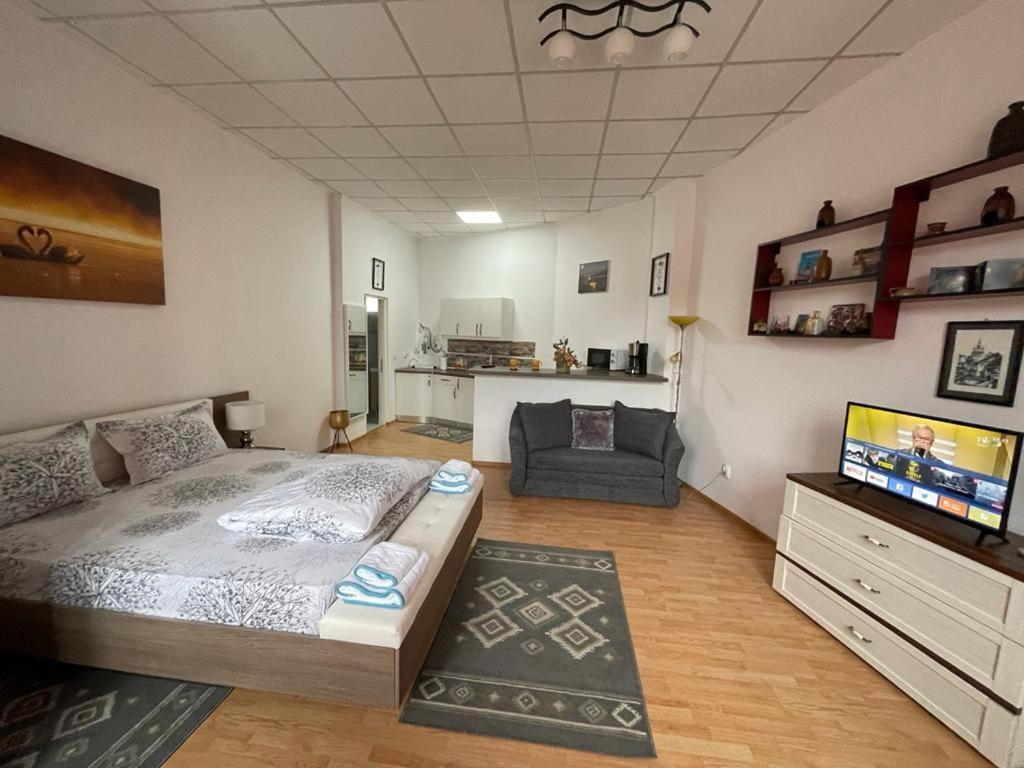 Panorama Studio Сигишоара Екстериор снимка